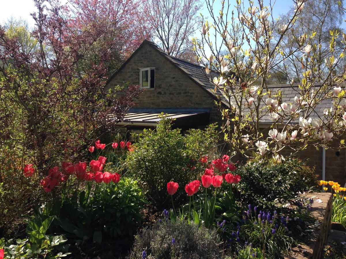 Bagnell Cottage Chiselborough Eksteriør billede