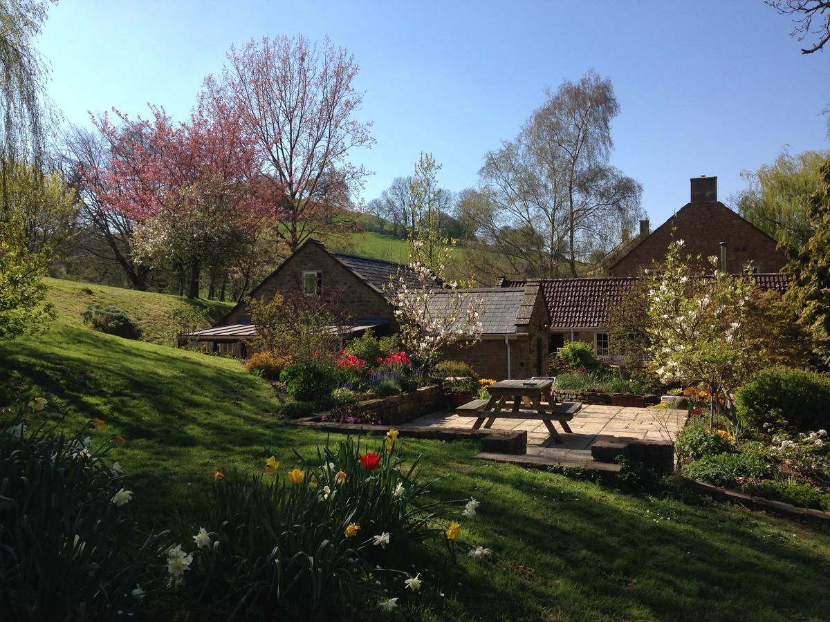Bagnell Cottage Chiselborough Eksteriør billede