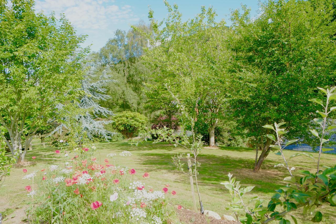 Bagnell Cottage Chiselborough Eksteriør billede