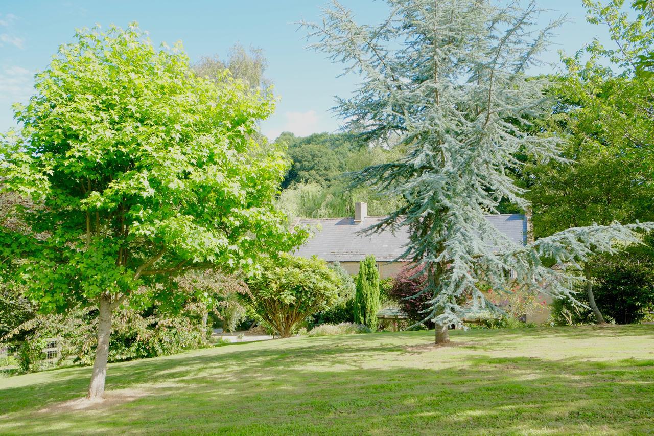 Bagnell Cottage Chiselborough Eksteriør billede