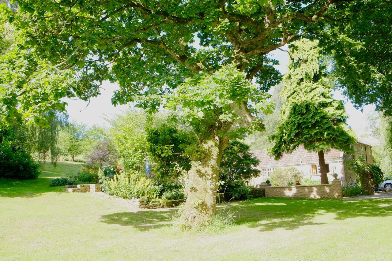 Bagnell Cottage Chiselborough Eksteriør billede